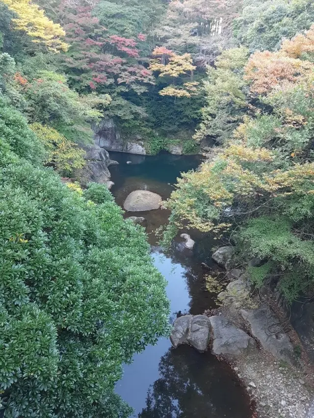 透明度の高い川が印象的