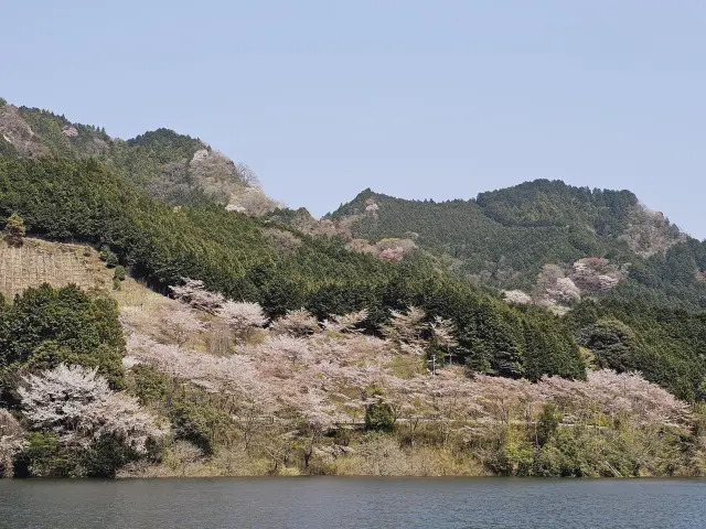 上流にある「錫杖湖」