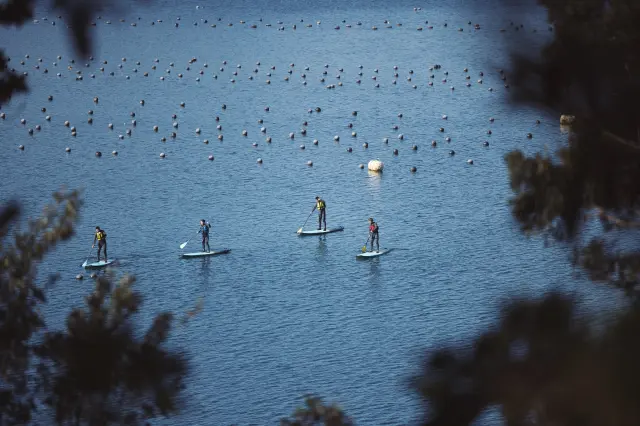 SUPなどマリンレジャーを多数用意