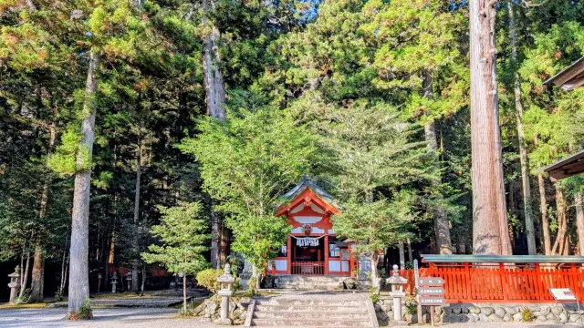 杉の巨木が立ち並ぶ厳かな雰囲気