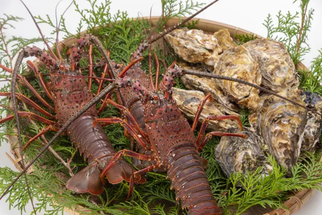 伊勢えびほか、三重の美食を扱う飲食店がずらり