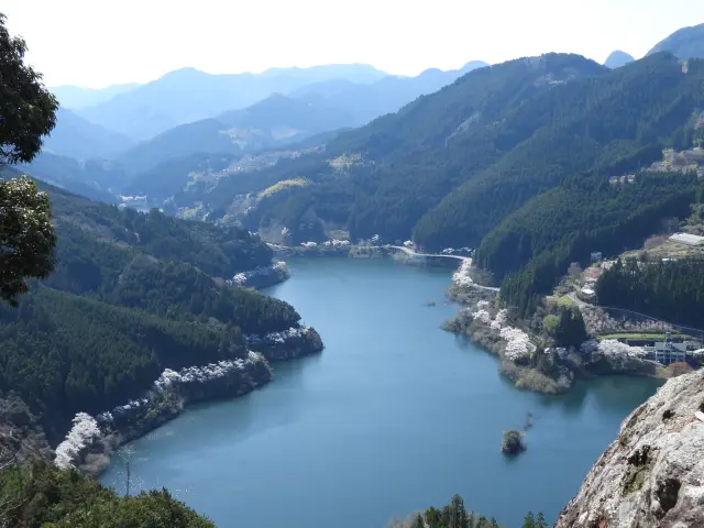 ダム湖を彩る1,000本のソメイヨシノは圧巻