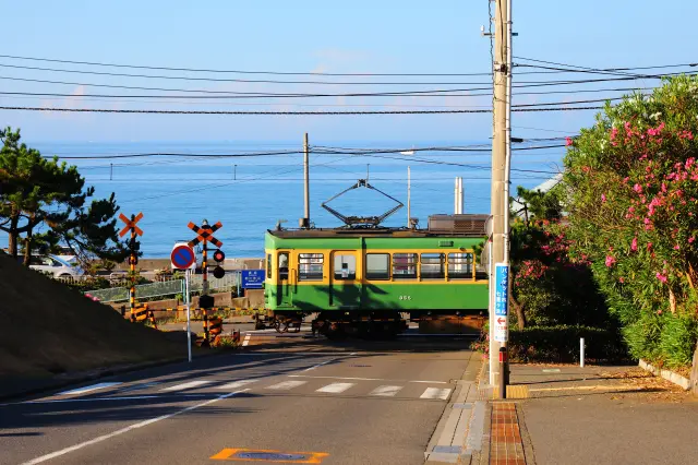Enoden running along Shichirigahama
Photo provider: Enoshima Electric Railway