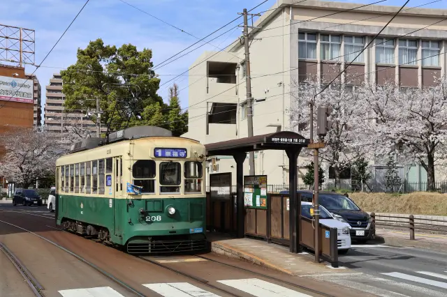 一般車両の「201形・202形」