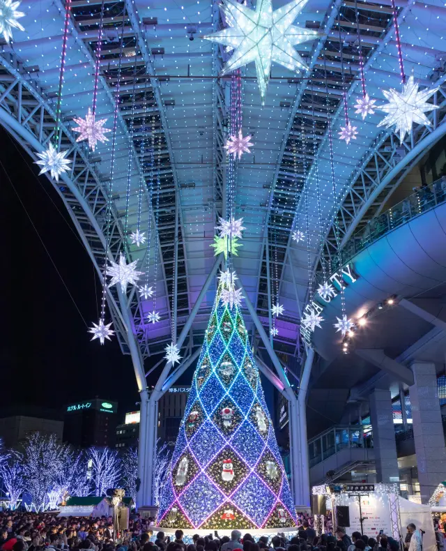 大屋根を飾るシンボルツリーとスターダストウェーブ