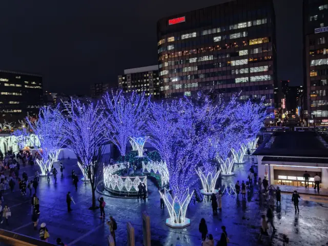 広場の木々も「光の森」に変身 ※2024年開催時の写真
