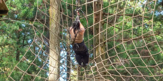 難易度の高いアドベンチャーコース