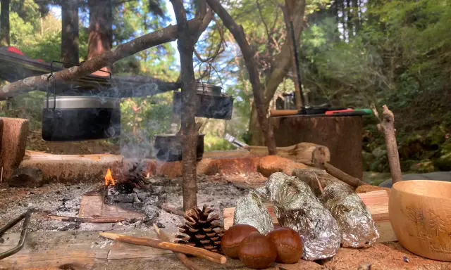 キャノピーコースは身長110cm以上で利用可能(小学2年生までは保護者同伴)