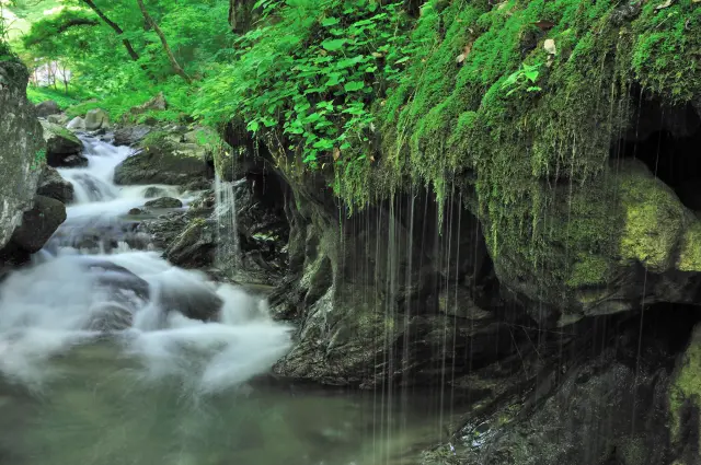 「珠垂の滝」など見どころが多数