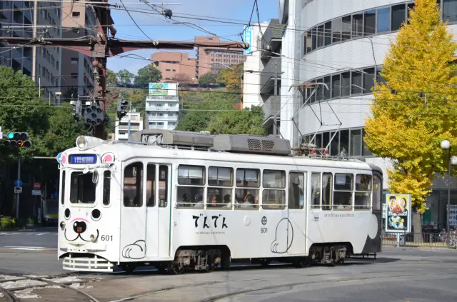 電車の貸切でも人気な、白くま黒豚電車「でんでん」