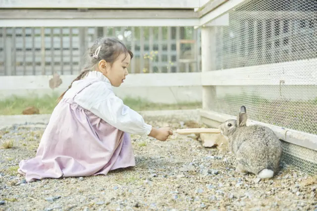 動物たちとの触れ合いが楽しめる