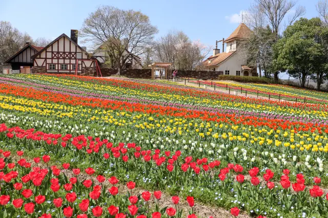ドイツの農村風景をモチーフにした園内に季節の花が彩る