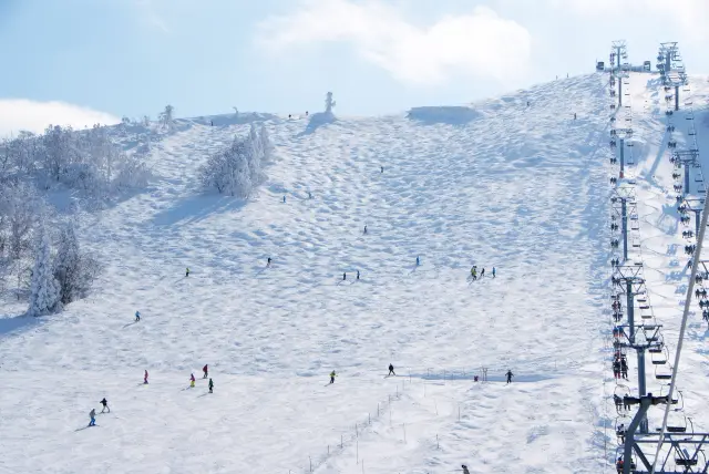 パノラマゲレンデにモーグルオリンピアン監修のコブ斜面を設置したこぶ＆ウェーブパーク（ハチ北高原スキー場）