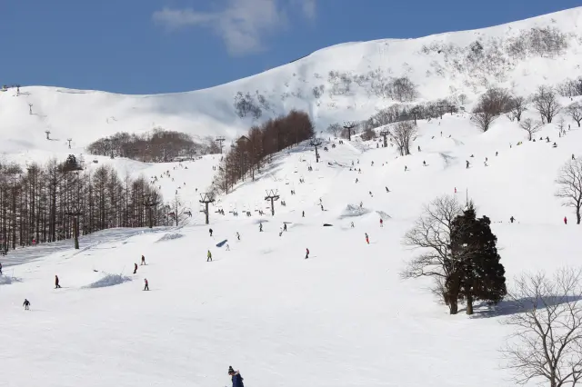 大小変化のある多彩なアイテムを整備した中央ゲレンデ（ハチ高原スキー場）