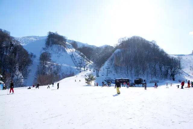 ハチ・ハチ北スキー場