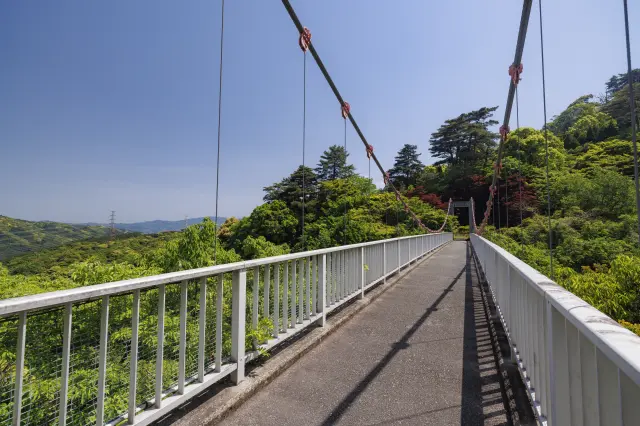 森の谷間の吊り橋。秋は紅葉やイチョウが色づき、また違った表情に