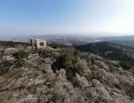 福岡市街地と油山の山並みを望む中央展望台。春は桜が眼下に広がる