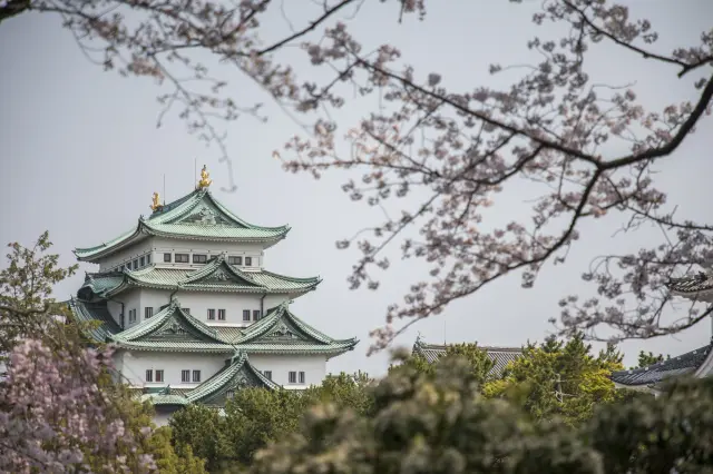 Nagoya Castle Spring Festival  
Nagoya Castle Cherry Blossom Festival