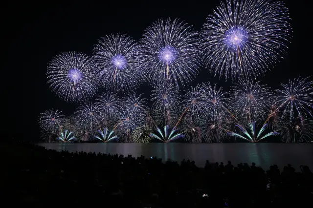 美しい花火が宍道湖の湖面と夜空を艶やかに彩る