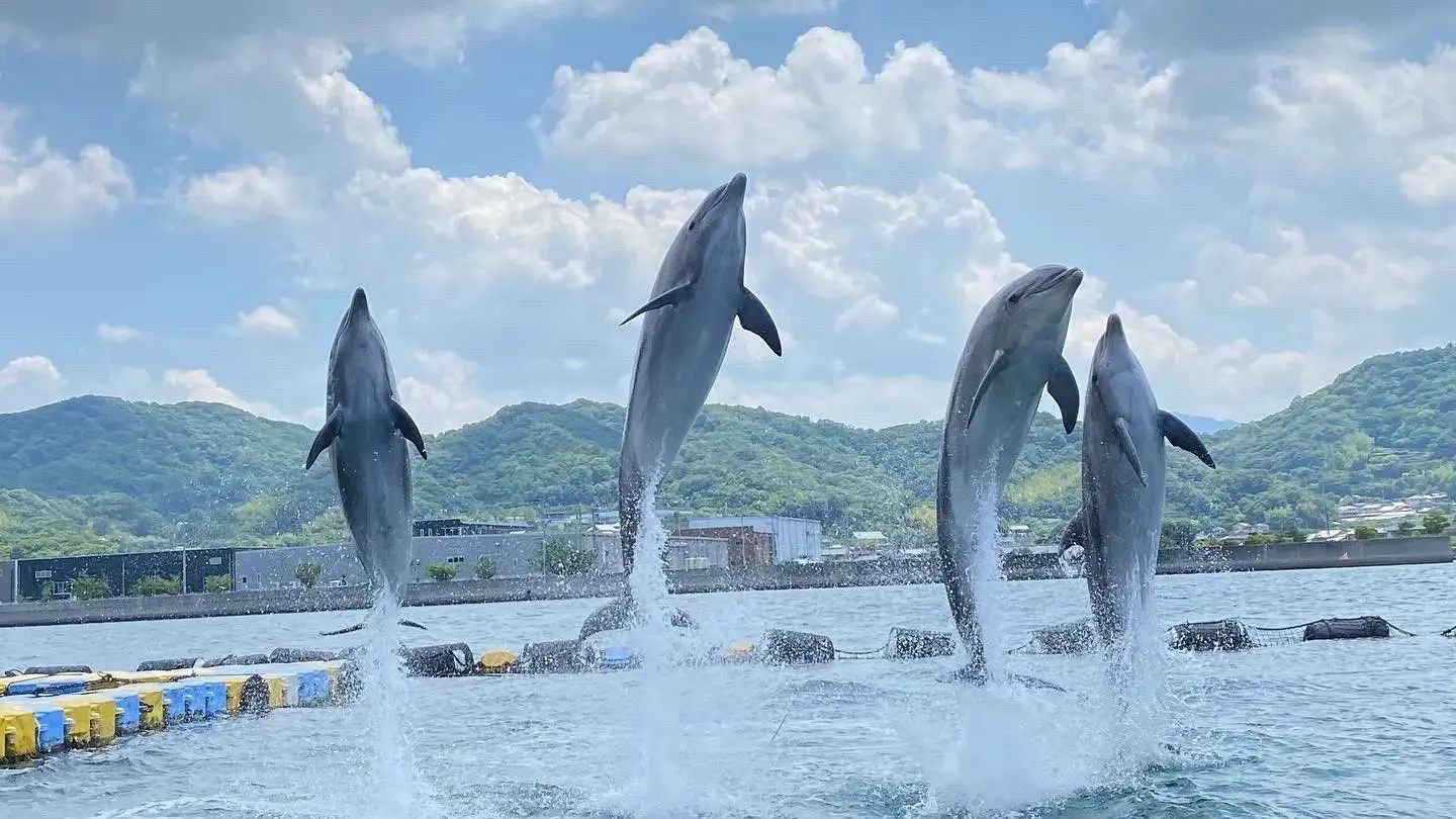 日本ドルフィンセンター