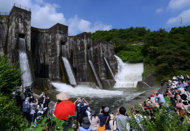 夏には「ゆる抜き」が行われる 写真提供:(一社)観音寺市観光協会