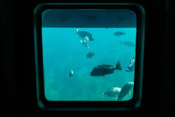 海中展望船あまんぼう