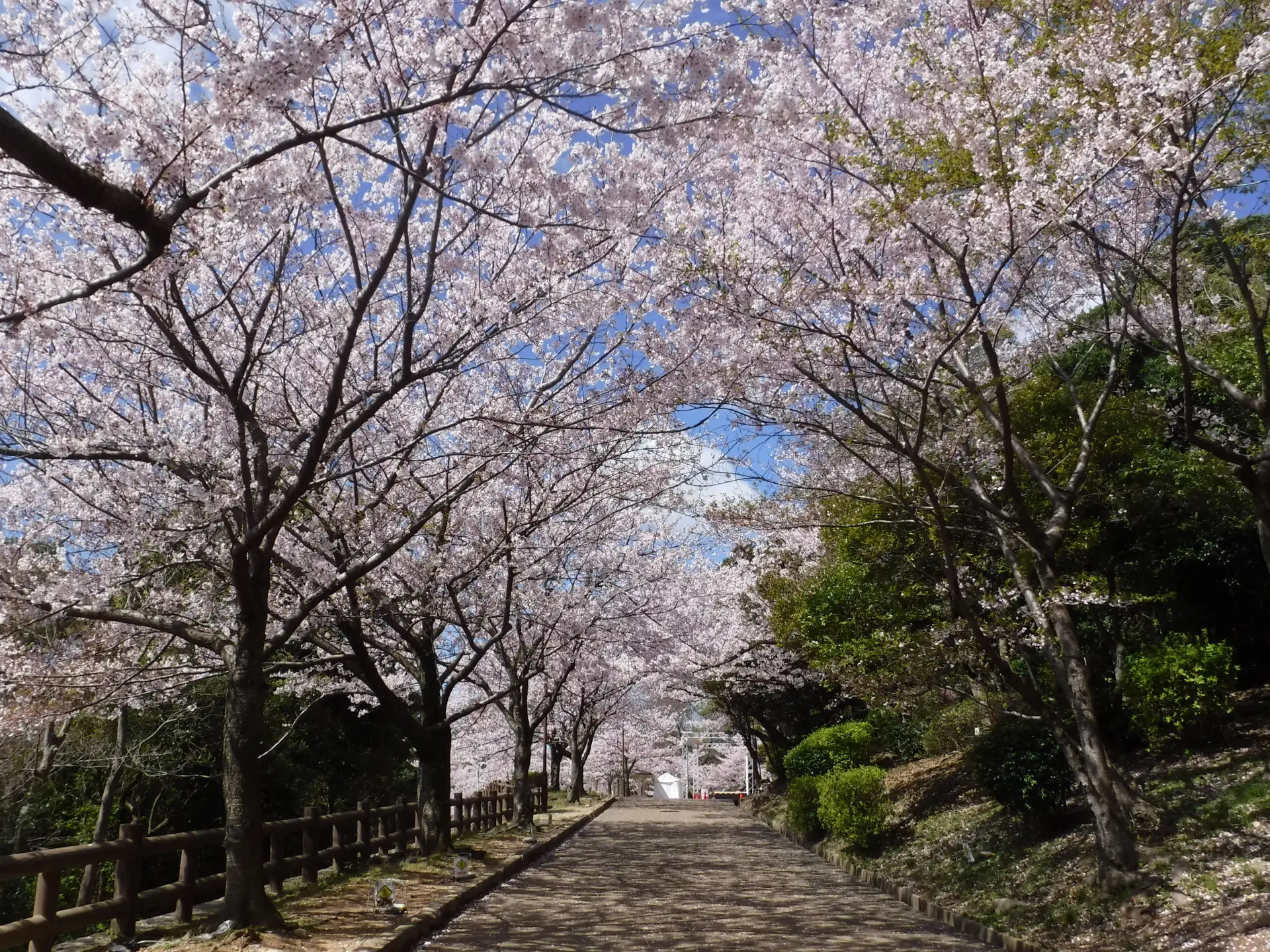 須磨浦公園 - 見どころ、アクセス & 周辺情報 | GOOD LUCK TRIP