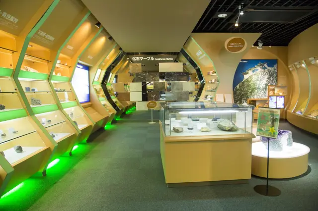 地球の歴史を紹介するタイムトンネル