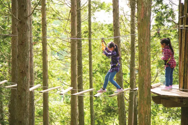 森の中に37のポイントが用意されたフォレストアドベンチャー