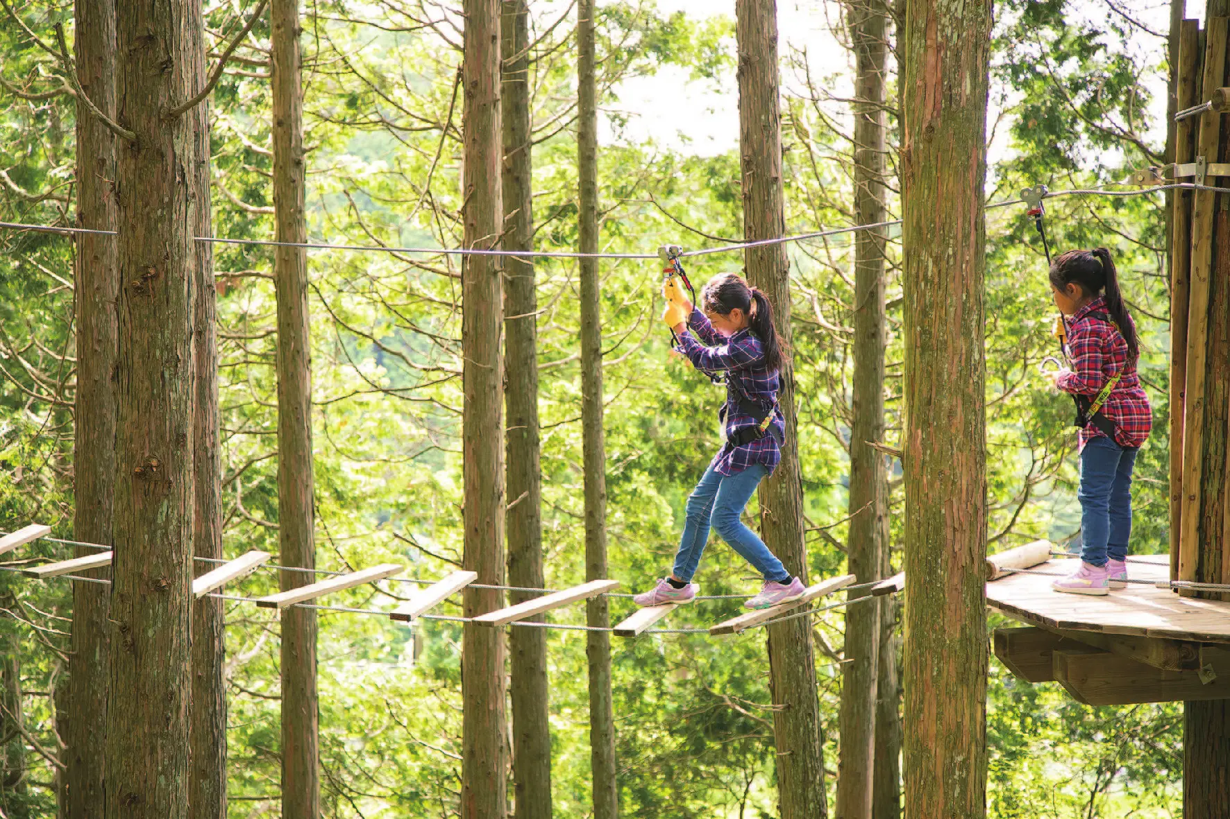 六甲山アスレチックパーク GREENIA