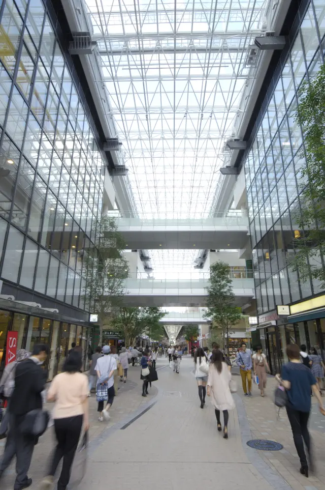 日がたっぷり降り注ぐ開放的な雰囲気が魅力