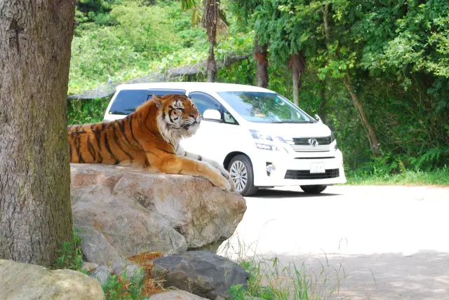 秋吉台自然動物公園サファリランド