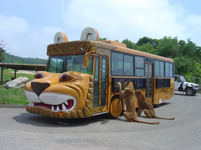 エサやり体験付きのバスでめぐることも