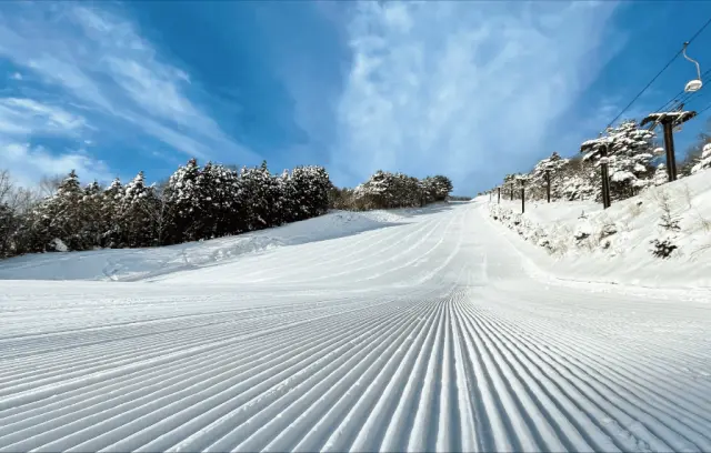 スキー場随一のハードコース「チャンピオンコース」