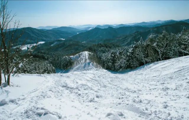 全長750m、最大斜度24度の上級者向け非圧雪コース