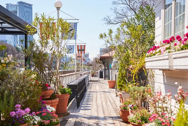 開放感ある空間は散策のひと休みにもぴったり