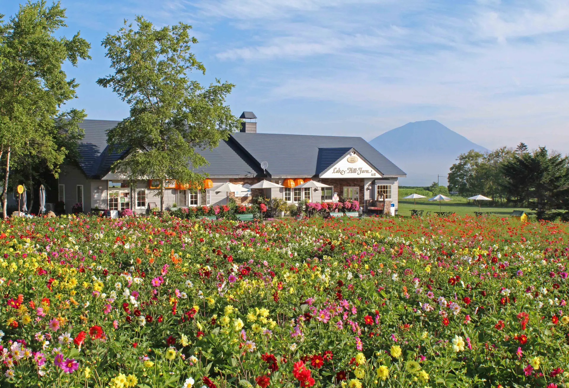 レークヒル・ファーム