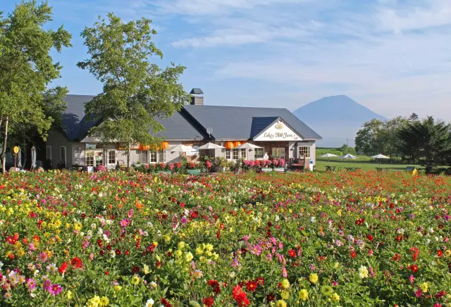 敷地内にはジェラートショップやカフェを併設