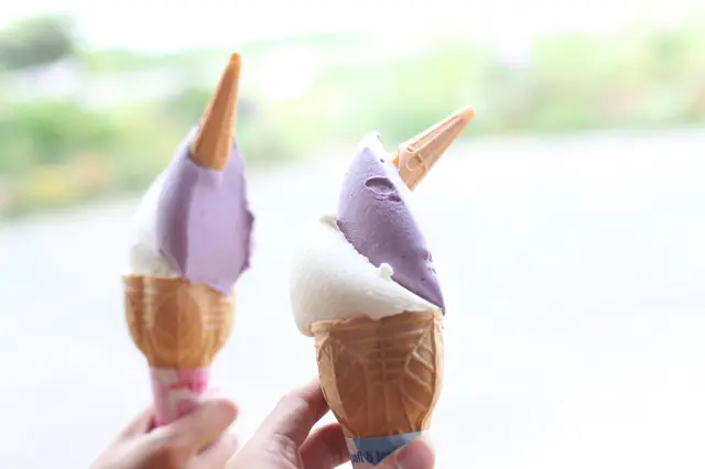 自慢のジェラートはテイクアウト用も販売