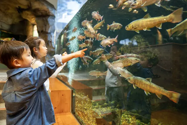 豊かな川とそこにすむ生きものの姿を再現する全長18メートルの「河川ジオラマ水槽」