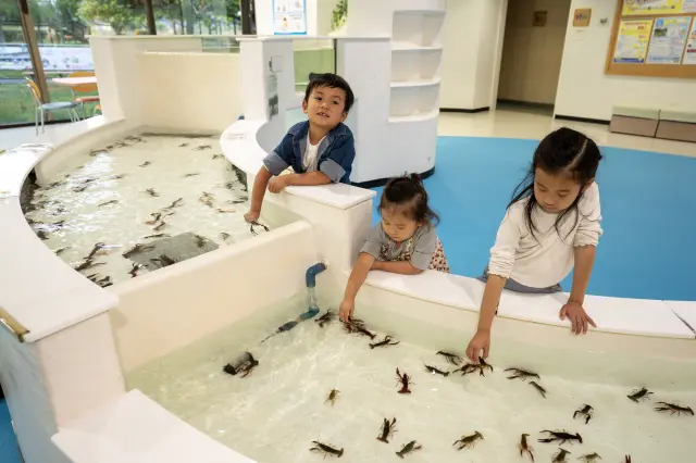 大型タッチプールも備えた「あそびっ湖 まなびっ湖 ひろば」