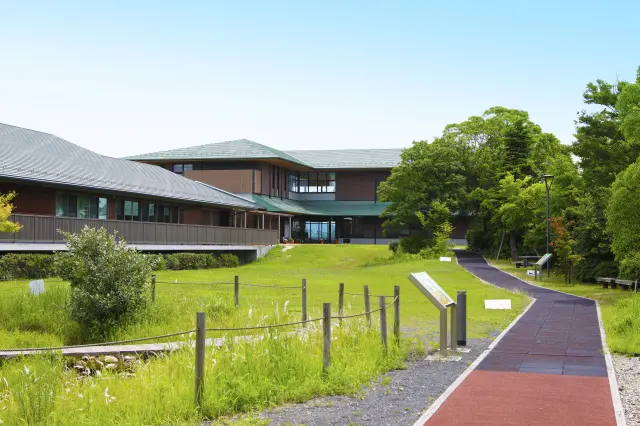 園内の植樹された木々には解説板などを設置