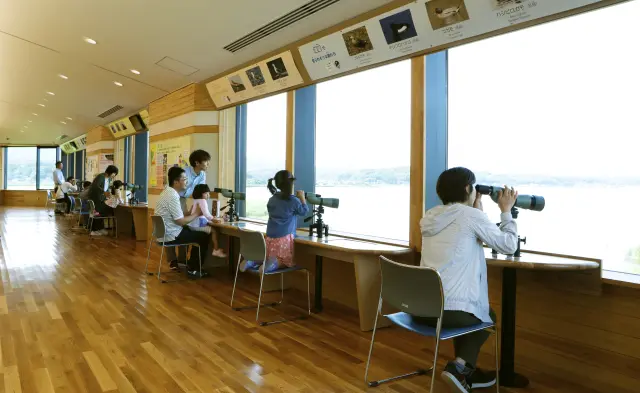 望遠鏡を常備した「野鳥観察舎」から宍道湖の水鳥などを観察できる