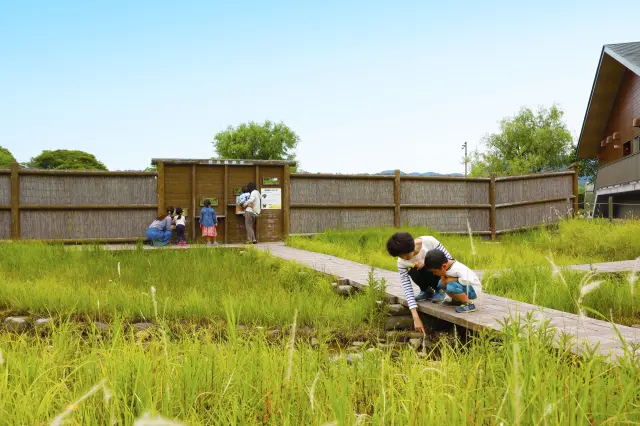 観察窓から双眼鏡でカワセミなどをかんさつできる「バード・サンクチュアリ」