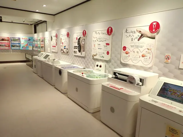 クイズゲームで遊びながら学べる