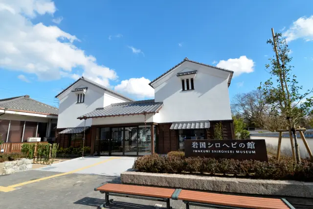 館内にはシロヘビグッズがそろう売店もあり