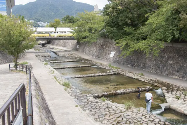 鮎が生息し、野鳥の姿も見られる清らかな都賀川　写真提供：神戸市提供