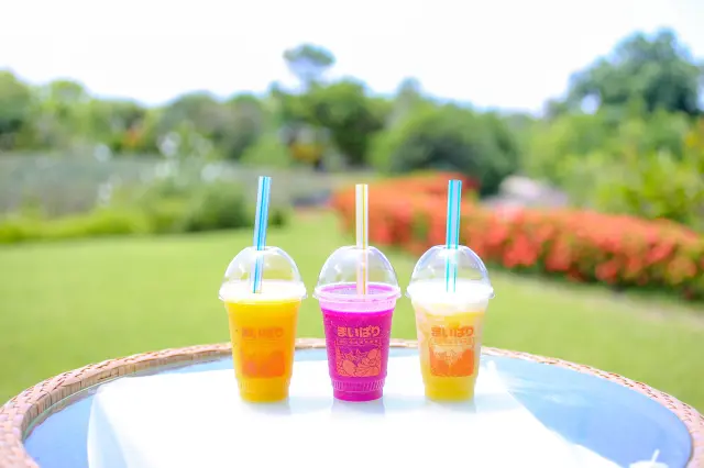 まいぱりで採れたフルーツを使ったトロピカルジュース、島バナナスムージーもおススメ