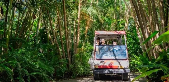 まいぱり宮古島熱帯果樹園