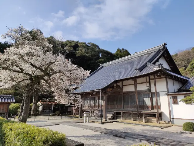 どっしりとした風格を感じる本堂